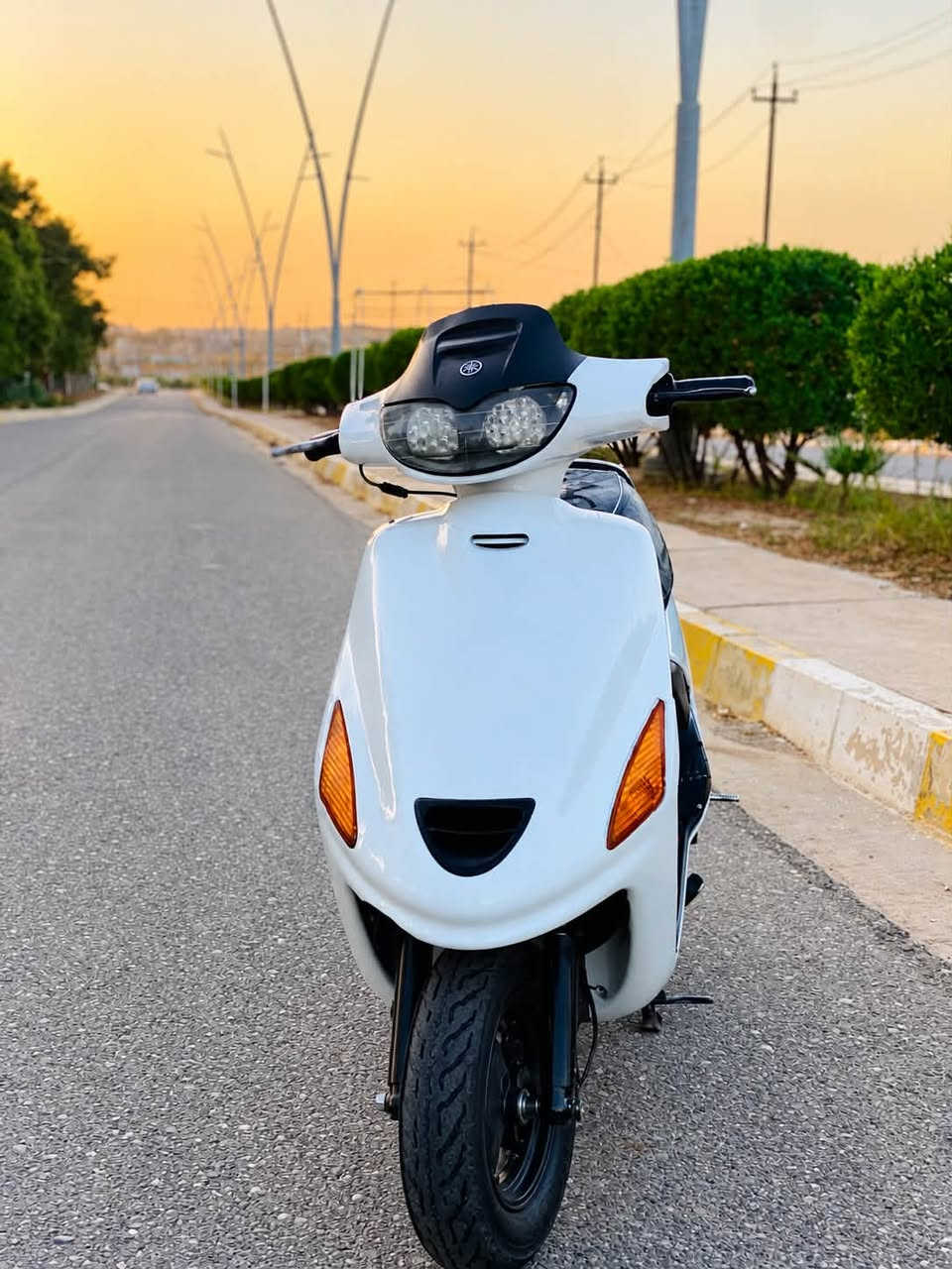 فراشه • مامفتوح • شاصي شرط