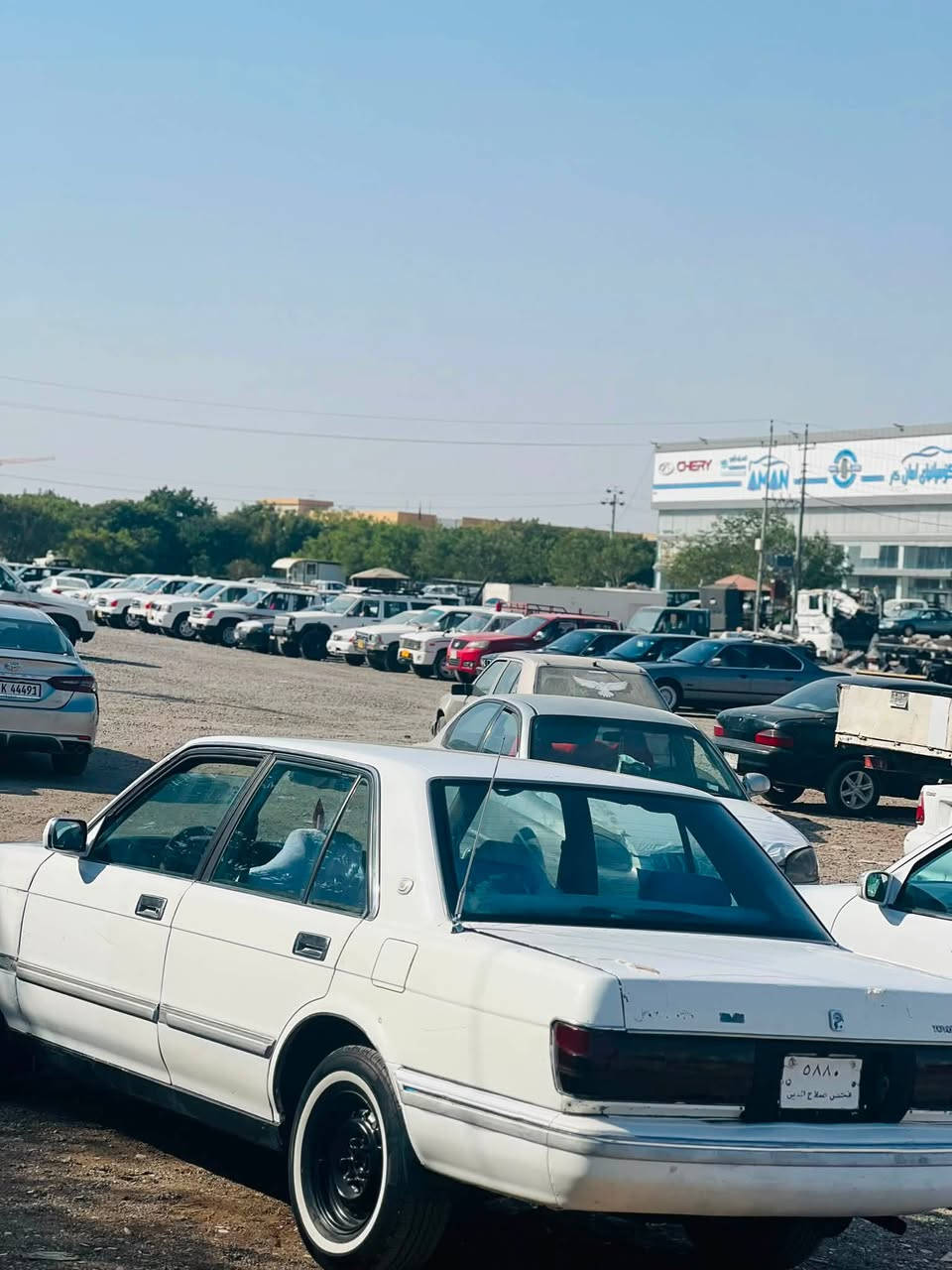 سیدان مۆدێل1991
سەنەویو حاسیبە ئەوەلیاتی بەشەرت
گێرو مەکینەی بەتە گێرومەکینەی بەشەرتی 10فیتەر 
تەقەو رەقەی بەشەرت کارەبایی بەشەرت 
سەیارە زۆر بە جوانی ماوەتەوە زەربەی نیە 
سەیارەکە لە رەسمەکان جوانترە
ئەگەر موشتەریت تیل بکە جوابی کۆمینت نادەمۆ
ژ.م ***********
