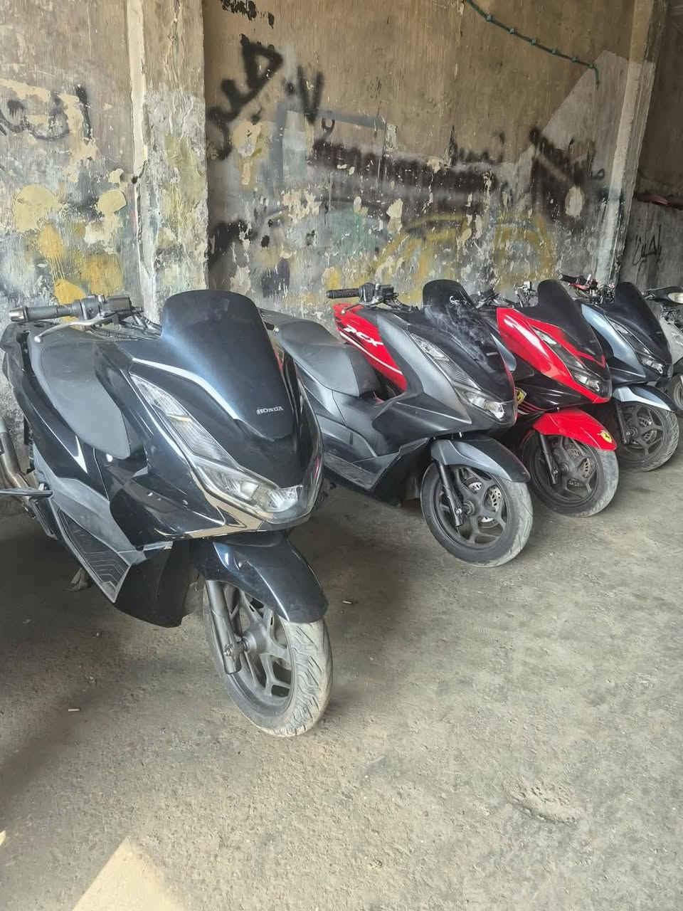 PCX • كوري • كفالة