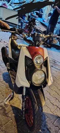 سكنس جبلي • نوزل • ٢٠١٣