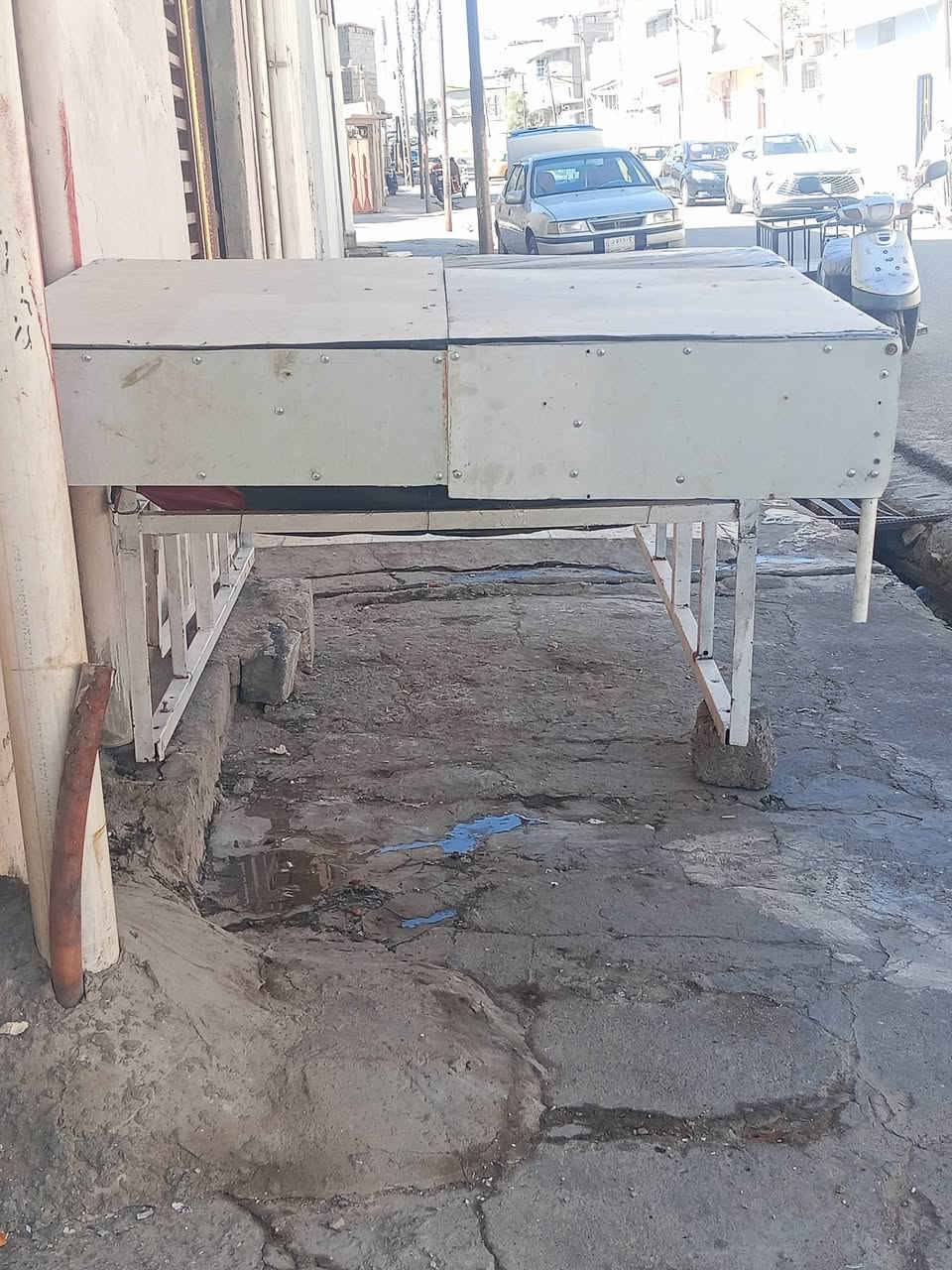 محجل • ستوته