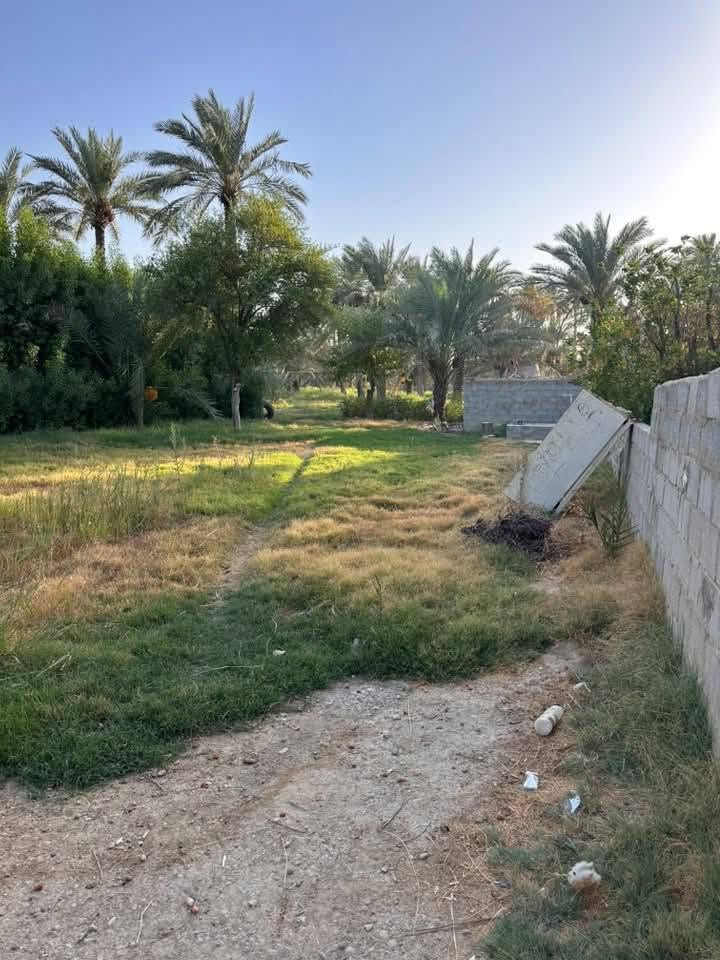 مزرعه ٣ دونم طابو زراعي مع بيوت حديثه مزروعه ومشجره وبيه ١٢٠ نخله متنوع لاصناف حله ورديه خلف محطه المقادير تبعد عن التبليط الرئسي ٤٠٠ متر سبيس كافه الخدمات تبعد عن المركز ٤ كيلو  مي سقي ومي اساله موجود مدارس ومستوصف موجود ركن باقي التفاصيل استفسار ***********
