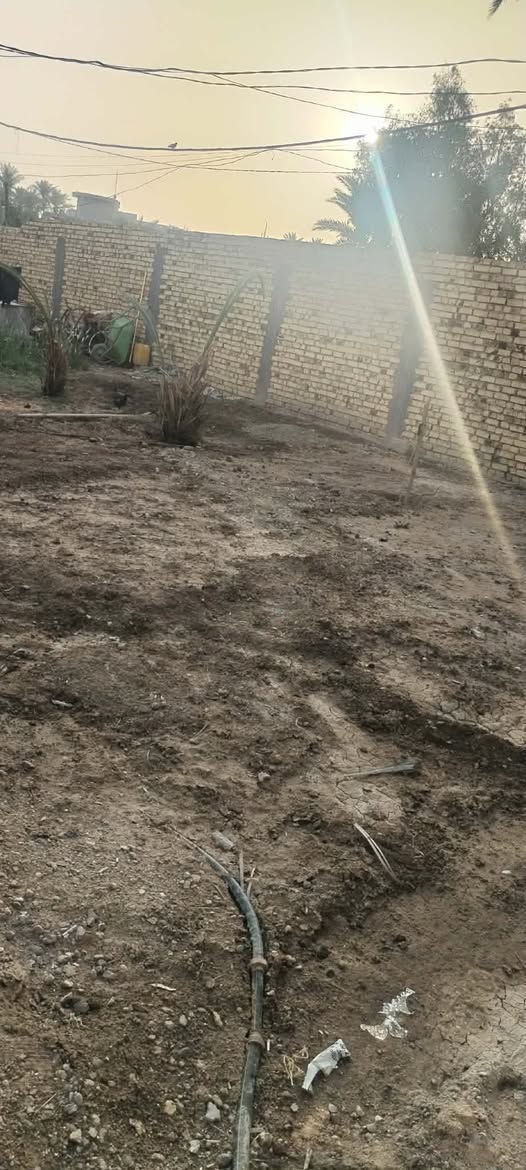 سلام عليكم بيت 700 متر زراعي سند ٢٥ ثلاث غرف نوم استقبال صاله مطبخ صحيات ٢ خارجيه مع حديقه كبيره  العنوان شاميه نزلة عباس مطلب جهة الزوار ركن على شارع رئيسي
للاستفسار اتصل ***********
