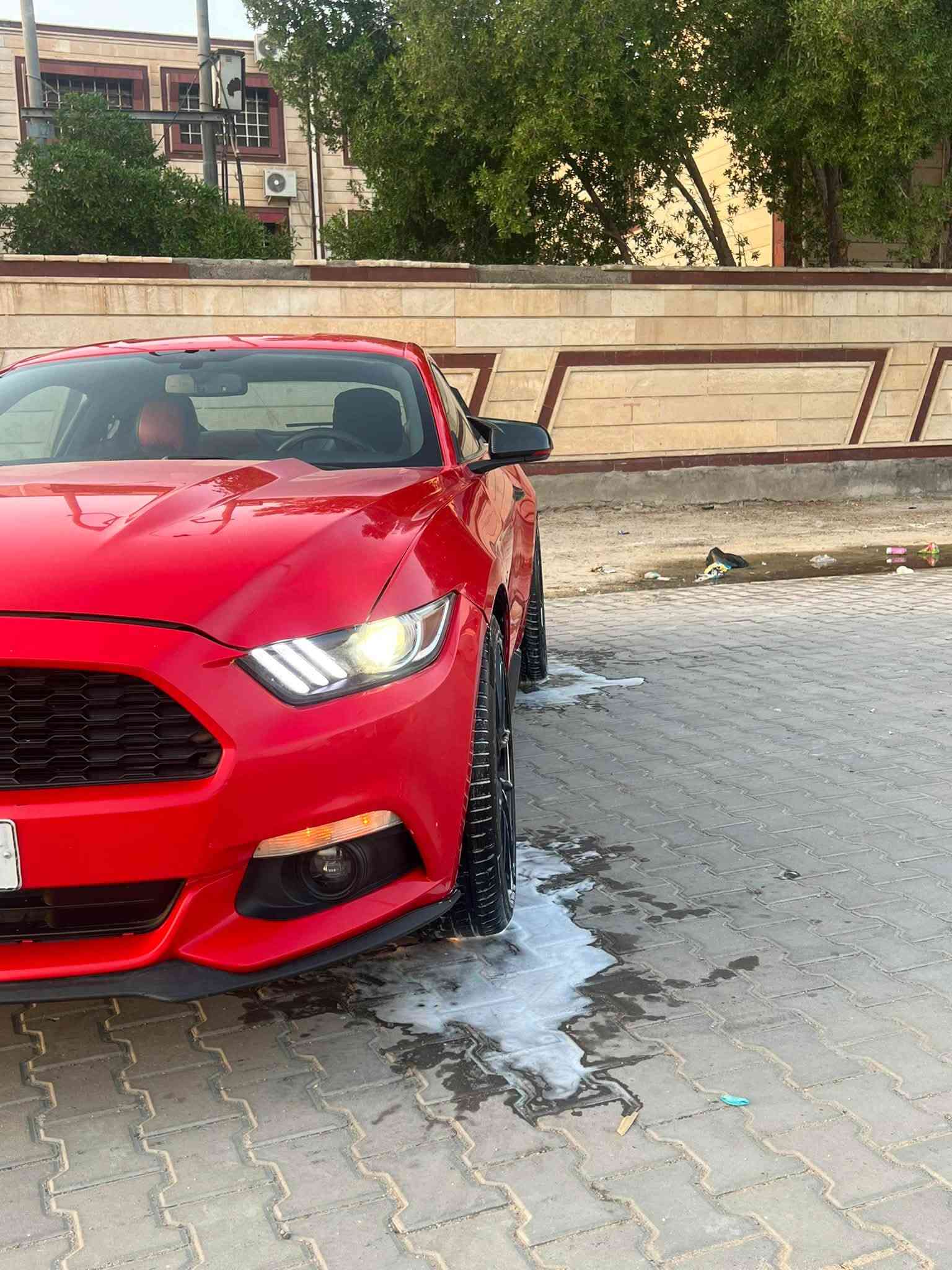 موستك • ٢٠١٧ • رقم بغداد