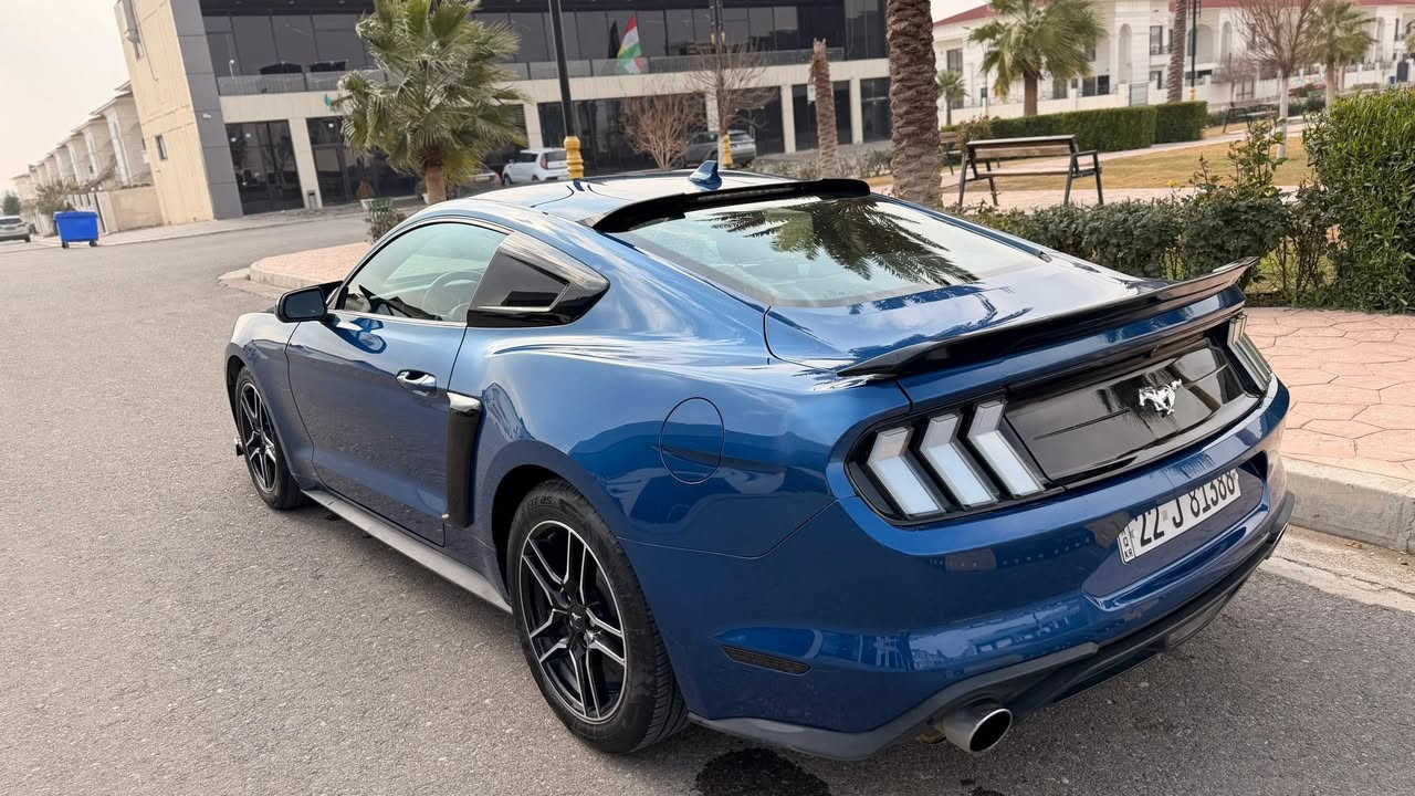السلام عليكم 
موستنگ 2022  ايكو للبيع 
مواصفات :
ايكو بوست 
10 نمر 
شاشه كبير 
كامره خلفيه 
دخول ذكي 
بصمه
حساسات خلفيه
نقطه عمياء 
رادار امامي 
رادار جانبي
4 مودات قياده
3 مودات ستيرن 
بك لايت 24 متغير الاوان
داش كام
ماشيه 43 الف 

حادث السيارة     قطعة وحدة صبغ جاملغ خلفي جهة السكن فقط صبغ 

 شاصي مرفق مع باقي صور 

رقم اربيل ب اسمي
السعر 168  وبي مجال
اي استفسار اني حاضر 

الرقم ☎️ ***********

عنوان📍اربيل
