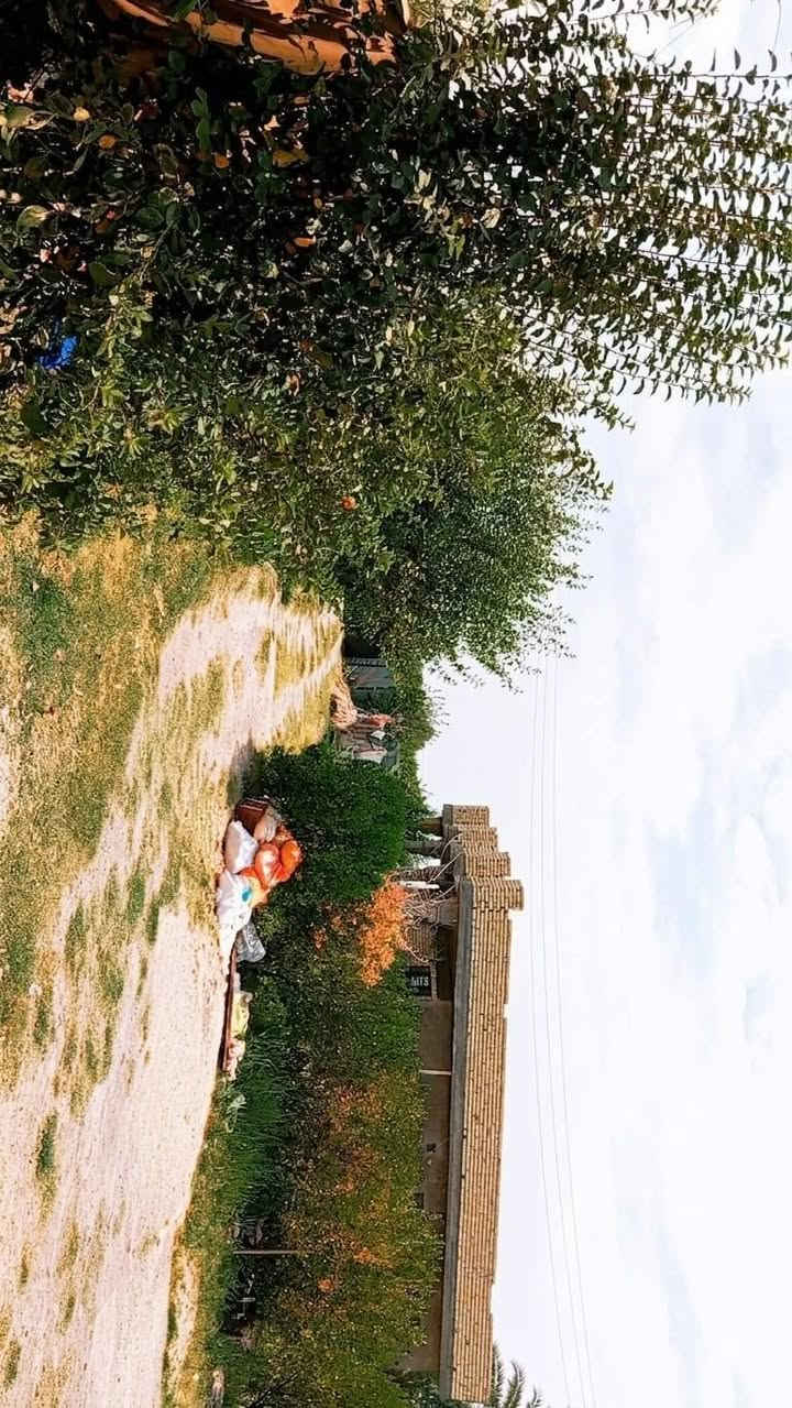 سلام عليكم بيت للبيع مساحه البناء 350 ويحتوي 3 غرف نوم استقبال ومطبخ وحوالي وصحيات سند 25 ومساحه الأرض دونم بل سند وهيه اكثر من دونم ويحتوي ع بيتين مساحة البيت الثاني 160 يحتوي 1غرفه نوم استقبال ومطبخ وحوالي المكان اليوسفية بير الحمام الشراي هذه رقمي ***********
