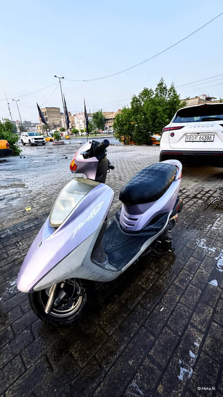 بريز • جديدة • بلكارتون