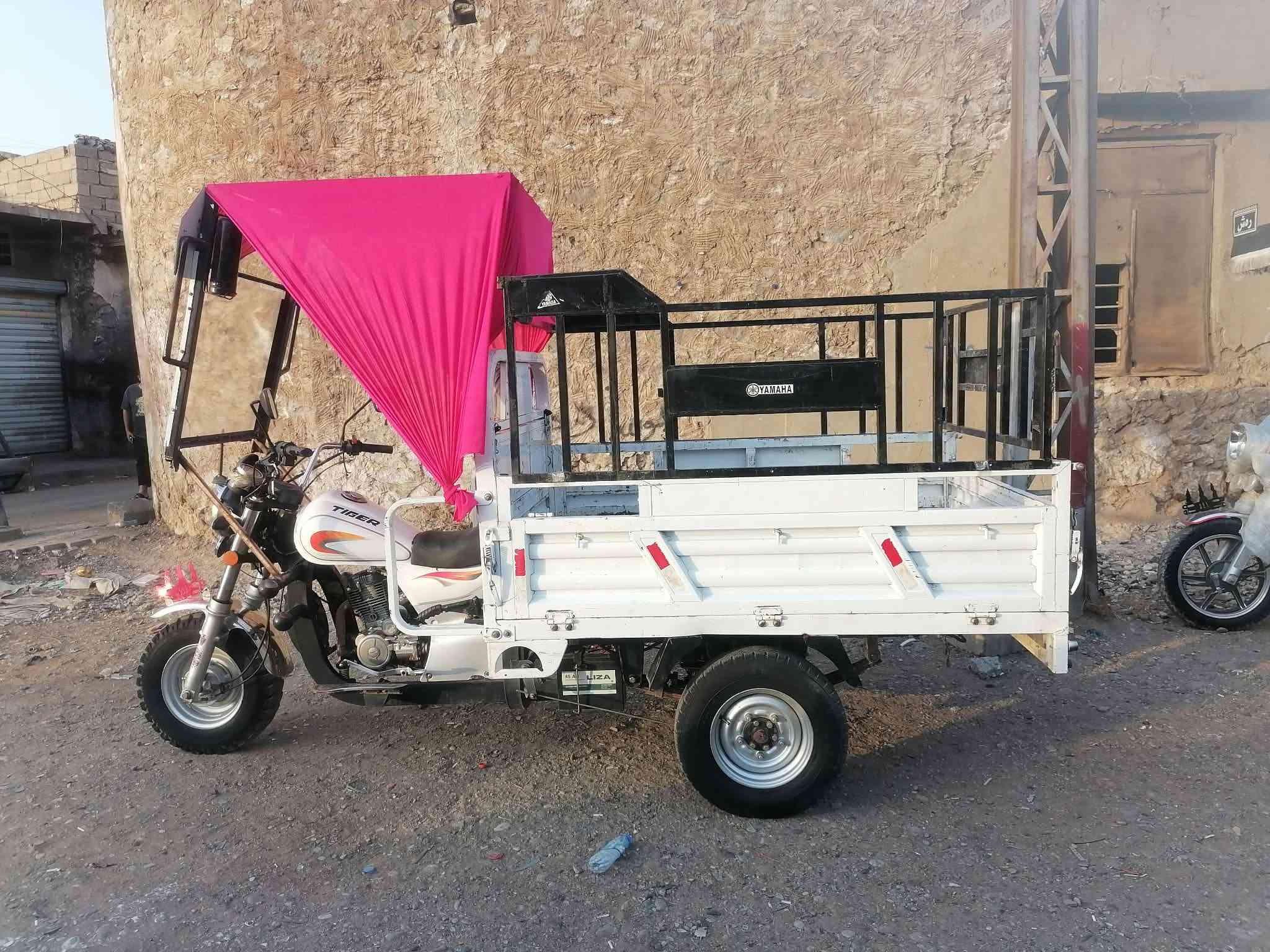 ستوته • ٢٠٢١ • محرك شرط