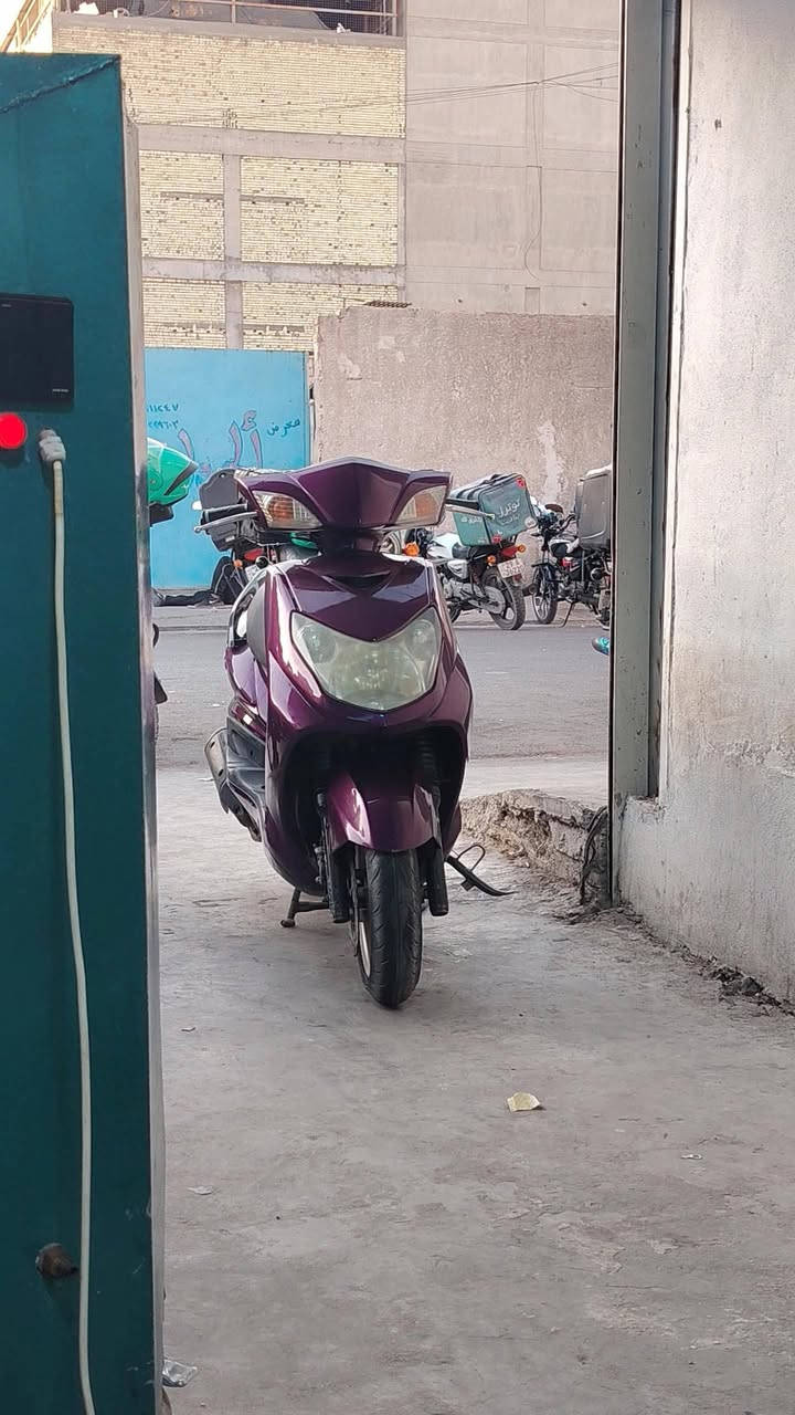 للبيع سكنس فحل كابريتر
***********
