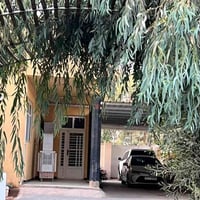 دونم بستان • بيتين ٢٠٠م-١٢٠م • ٤٠+ نخلة