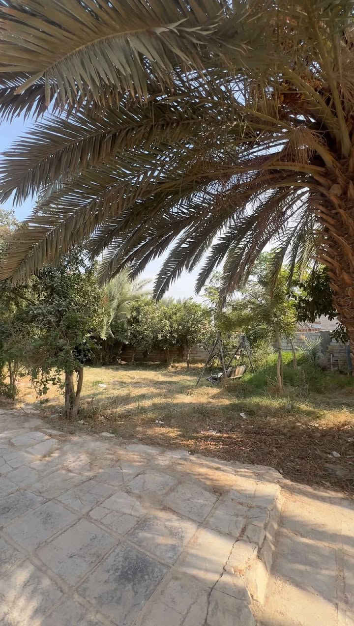 الكوفة • ١٦٠٠م • بيها تمليك