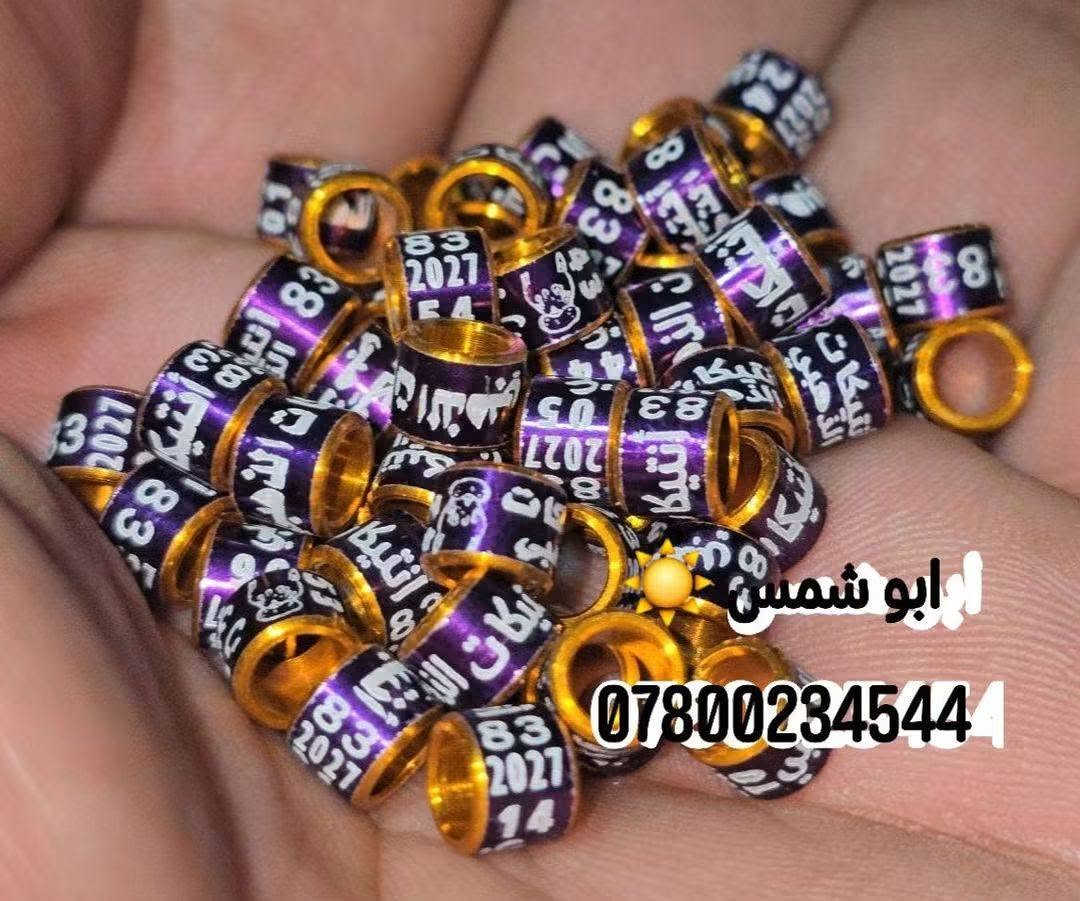 اركيلة • كواليت عالي • مقاسات متعددة