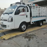 فحل • موديل ٢٠ • بدون صبغ