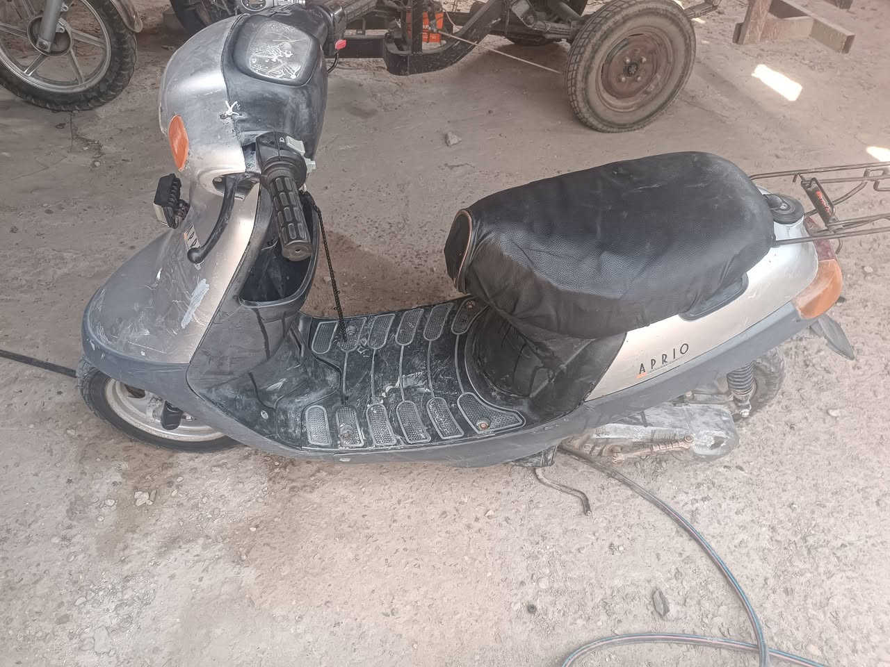 بطة • سلف • اكزوز رياضي