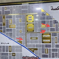 بالكصة ام الدود • ٨٦ • جاهزة للبناء