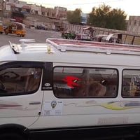موصليه جاهزه ع اخر حبايه دوشمه جديده غرفتها لك كير اكسن مكفلات مكينه ب...