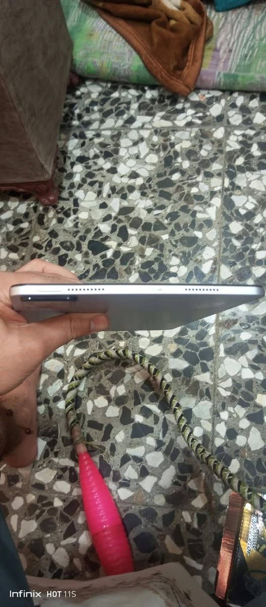 شاومي باد 6 • ٢٥٦/١٦ • ١٤٤ هرتز