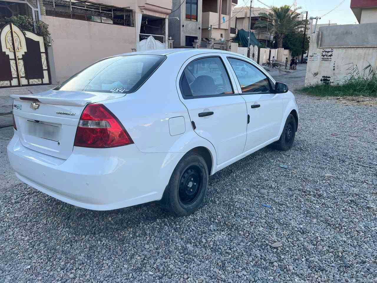 ٢٠٠٩ • رقم اربيل • بدون صبغ