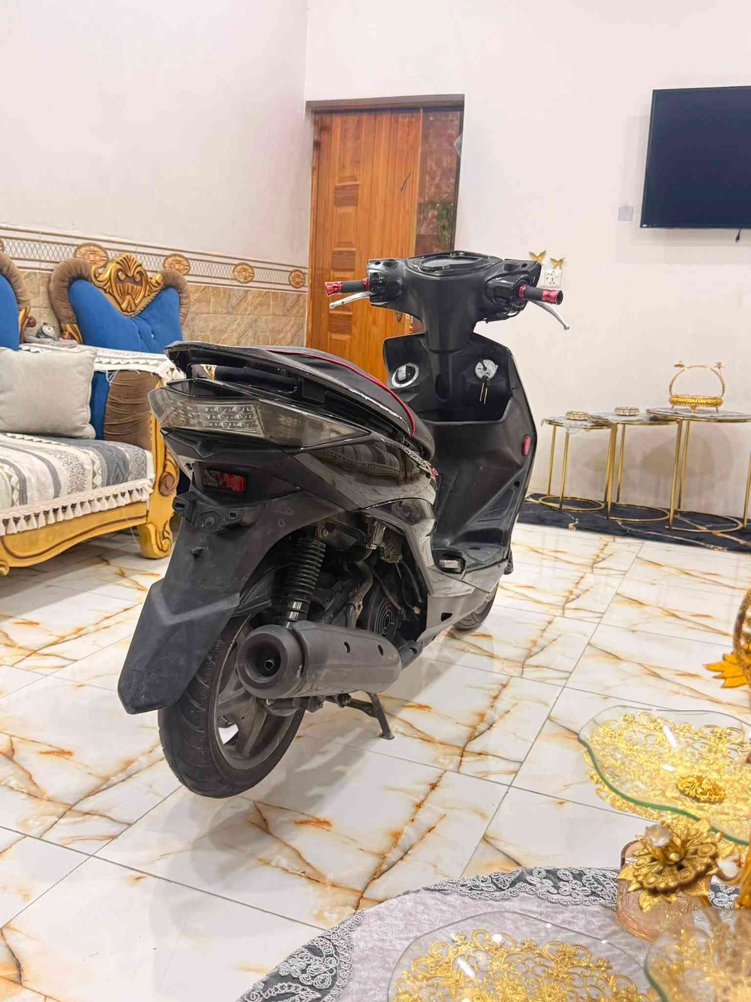 سكنس • ياباني • مكفوله