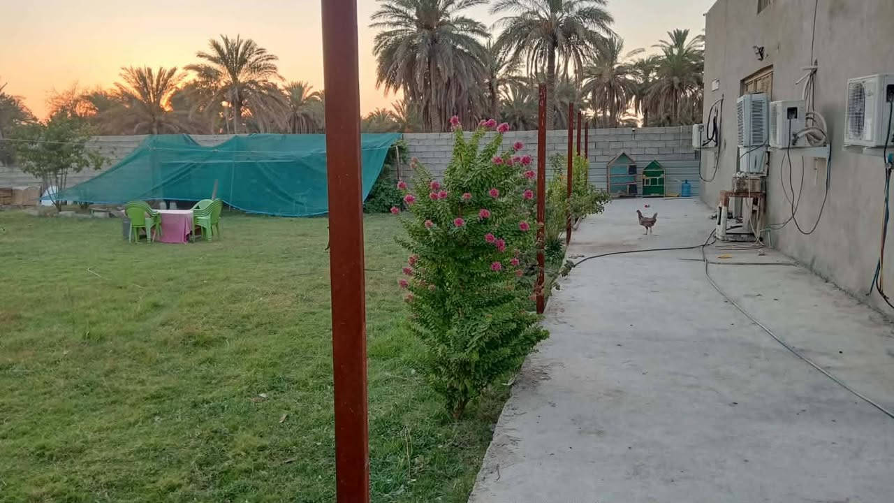 مزرعة نصف دونم للبيع مع بيت مساحته ١٦٠ متر بيت متكون من استقبال و مطبخ و صالة و غرفتين نوم و صحيات و انت العنوان  العريفية شارع ابو مروان مستعجل بلبيع الاستفسار فقط  واتساب متواجد او الاتصال***********
