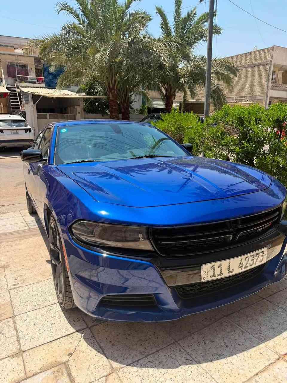 وارد امريكي • حادث باب • ٢٠٢٢