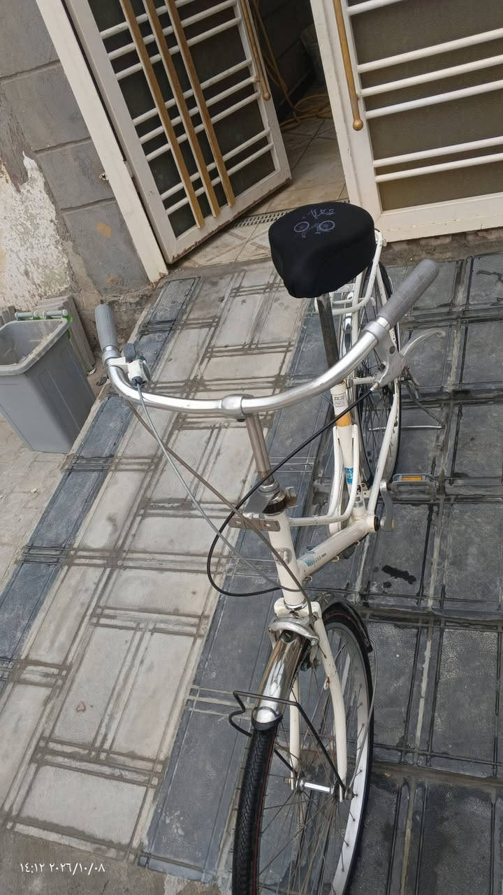 باسكل • نضيف • نجف مشخاب