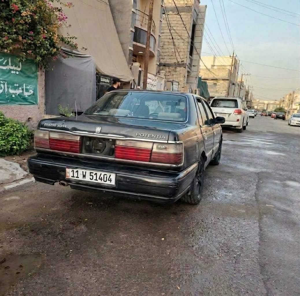 بونتيشيا • ١٩٩٤ • البياع