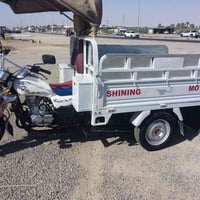 ستوته • ٢٠٢٥ • اسباني