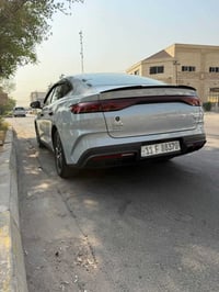 قين L • ٢٠٢٥ • بطارية ١٢٠