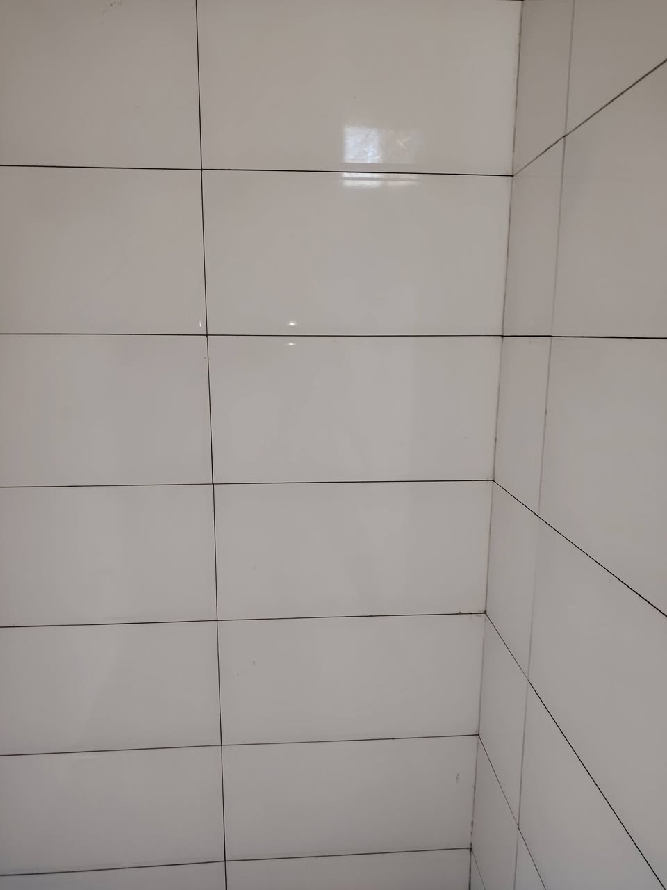 خلفه سيراميك وكاشي وبورسلين لوح ماده او اسمنت ايي شي نشتغل تفضل *********** وات ساب

