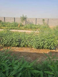طابو زراعي • ٢٠٠م • ماء كهرباء