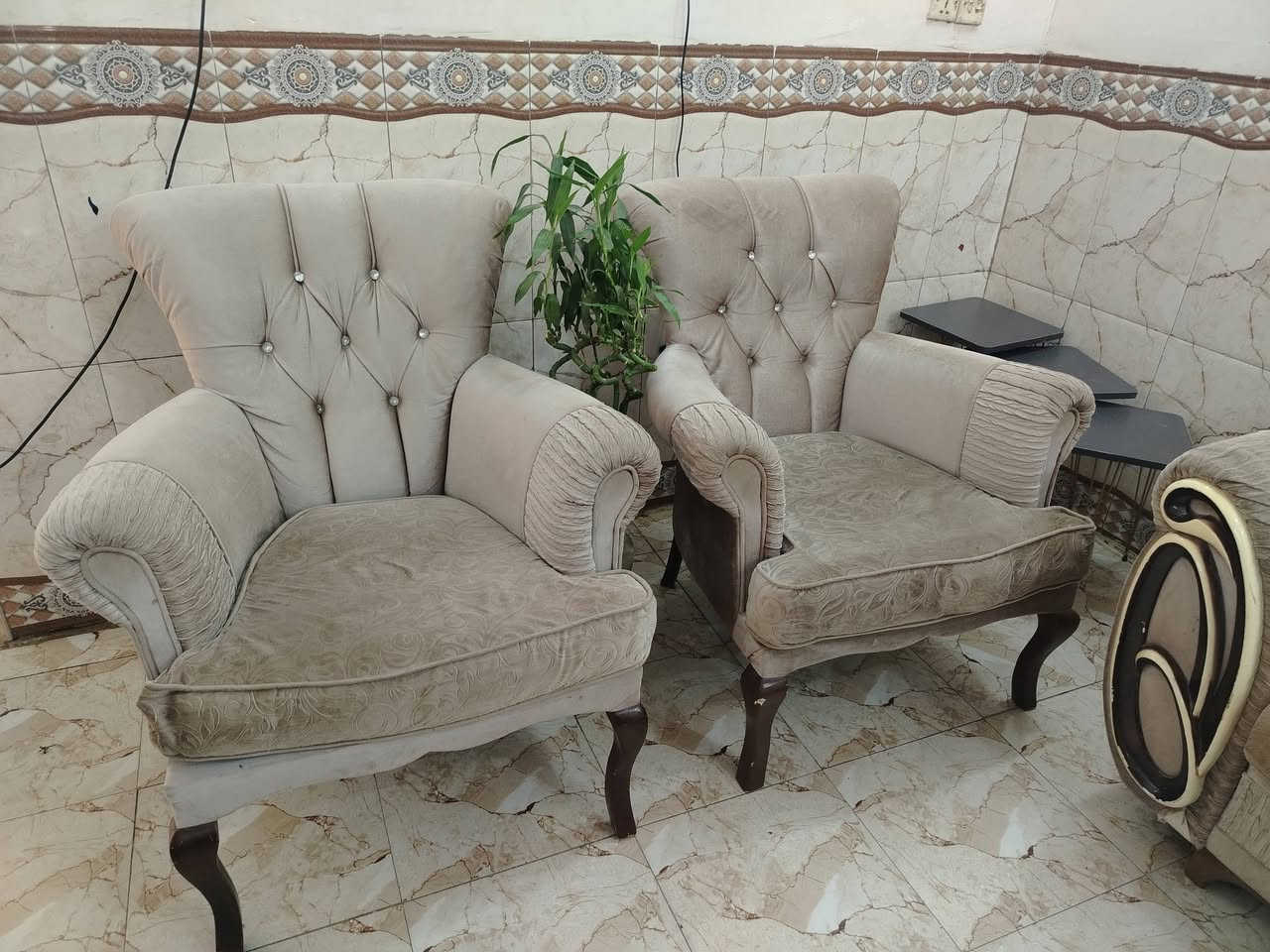تخم للبيع اخو الجديد السعر 425 بي مجال قليل للاستفسار *********** مسيب
