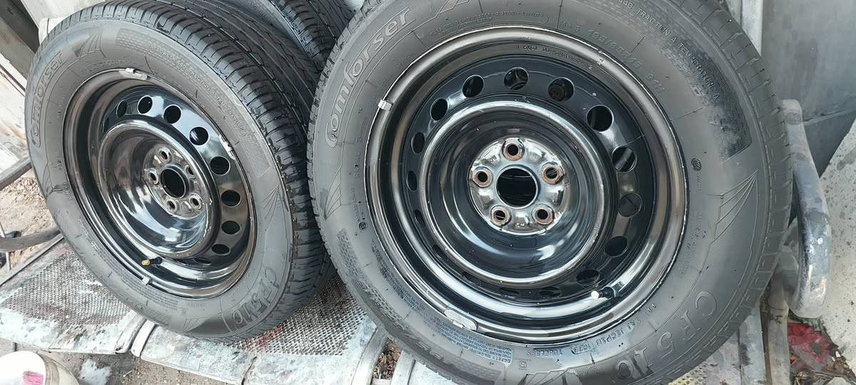 بغداد • تخم ويل اصلي • ١٥/٦٥/١٩٥