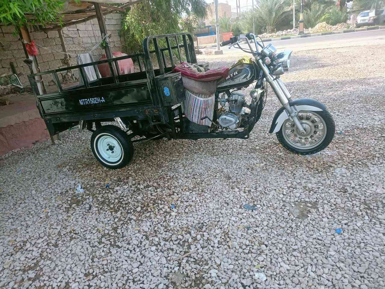 ستوته • ٢٠١٩ • اوراق مداور