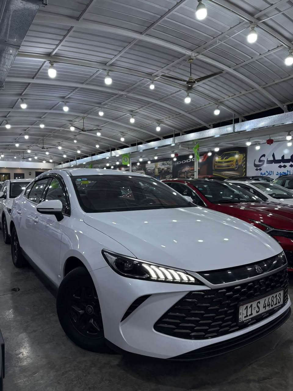 السلام عليكم
بي واي دي 
كن بلاس 
مواصفات اعتيادية
بطارية 55 كيلو 
ماشية 5 الاف حقيقي شرط الفحص 
مكفولة عده شخط صغير موضح في الصور 
مغلف الارضية و الكشنات وبيها مطريات 
وكلش حلوه بعدها بوضع الزيرو
السونار موضح في المنشور 
السعر : 20 مليون قفل مرقم كامل 
ملاحظة سعر الزيرو : 21 مليون ويلحكك رقم 350 الف 
للاستفسار : *********** 
موقع السيارة بغداد الكريعات معرض العبيدي
