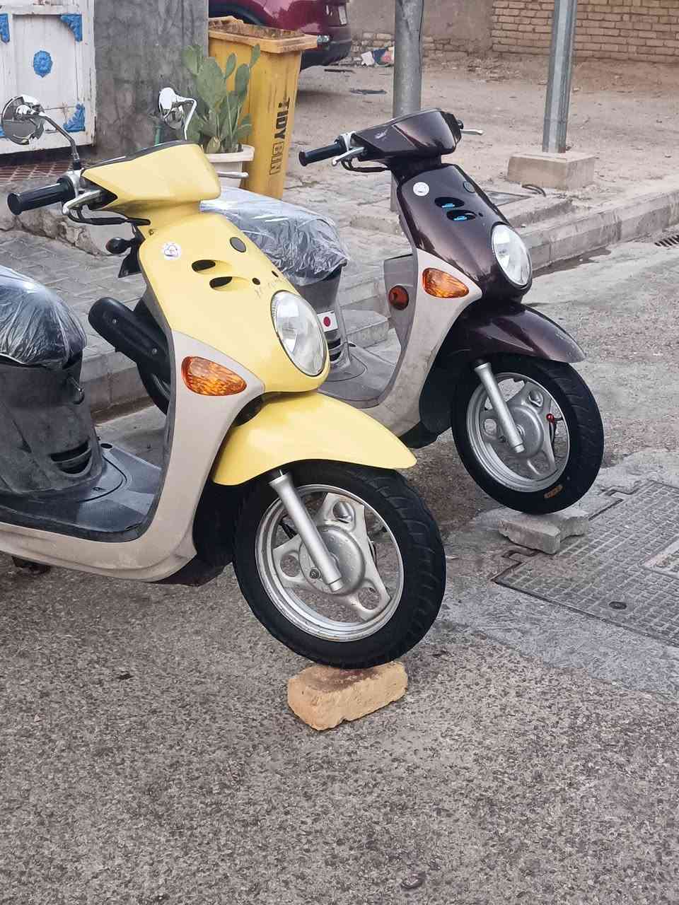 فله ليموني لبيع كفاله عام سعرواحد200 وبيه مجال لشراي ***********
