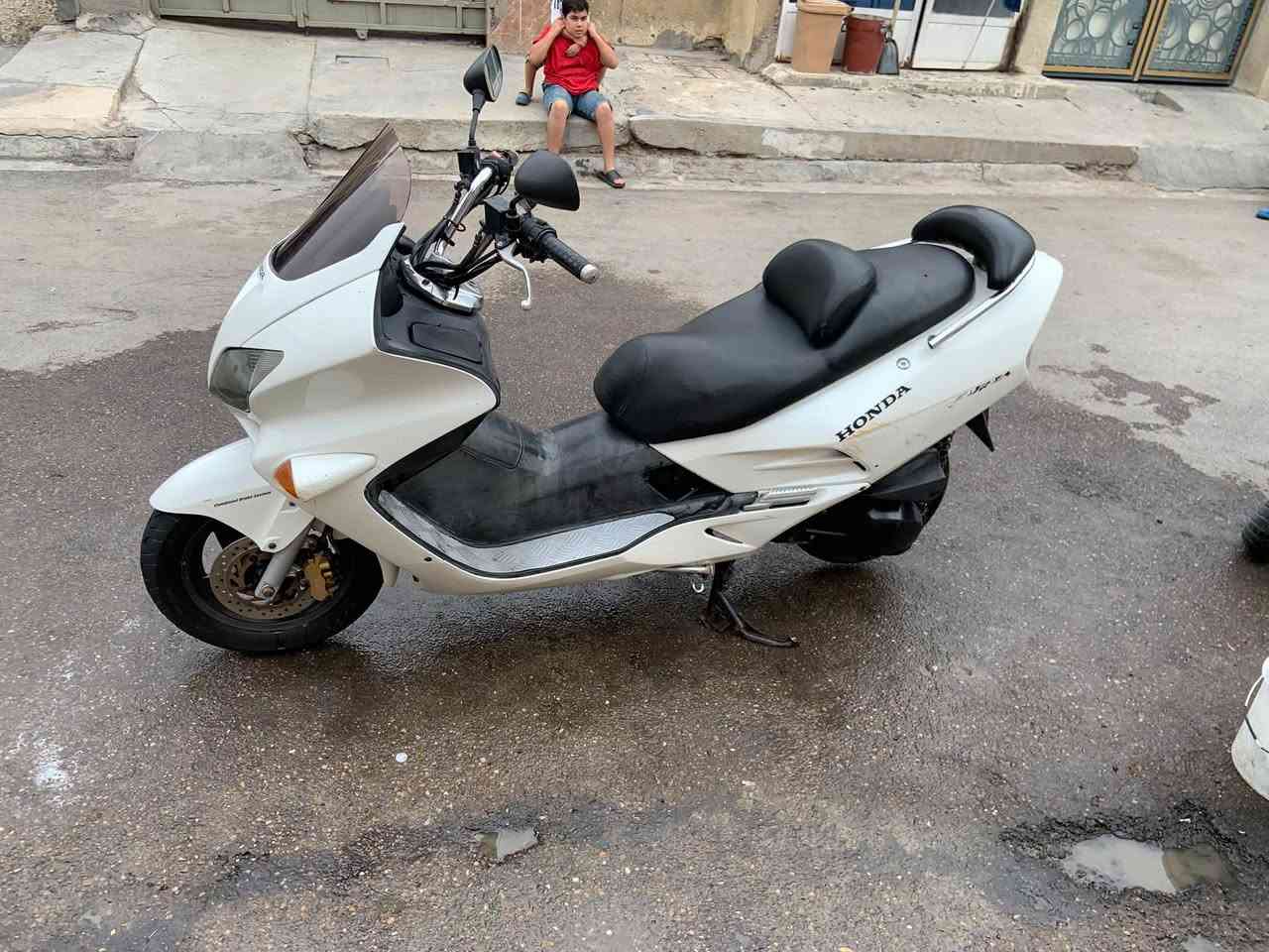 فورزة • ٢٠٠٦ • بلاديه