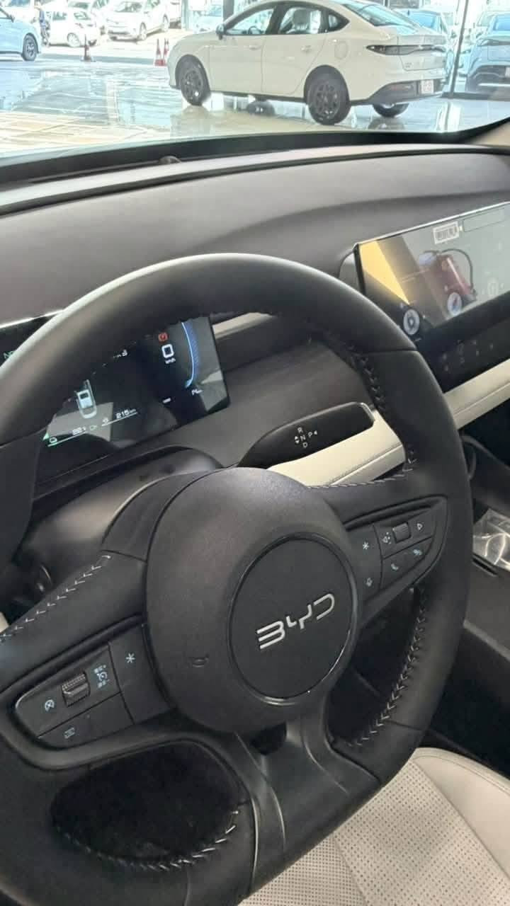 بي واي دي SEL05 • بطارية ١٢٨ • أربيل