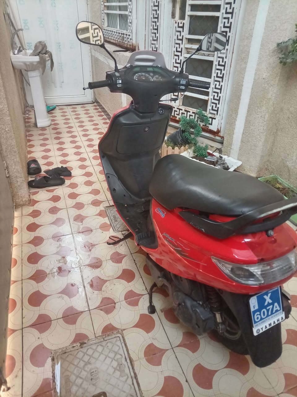 فراشه • ١٤٠ • مكينه بلاديه