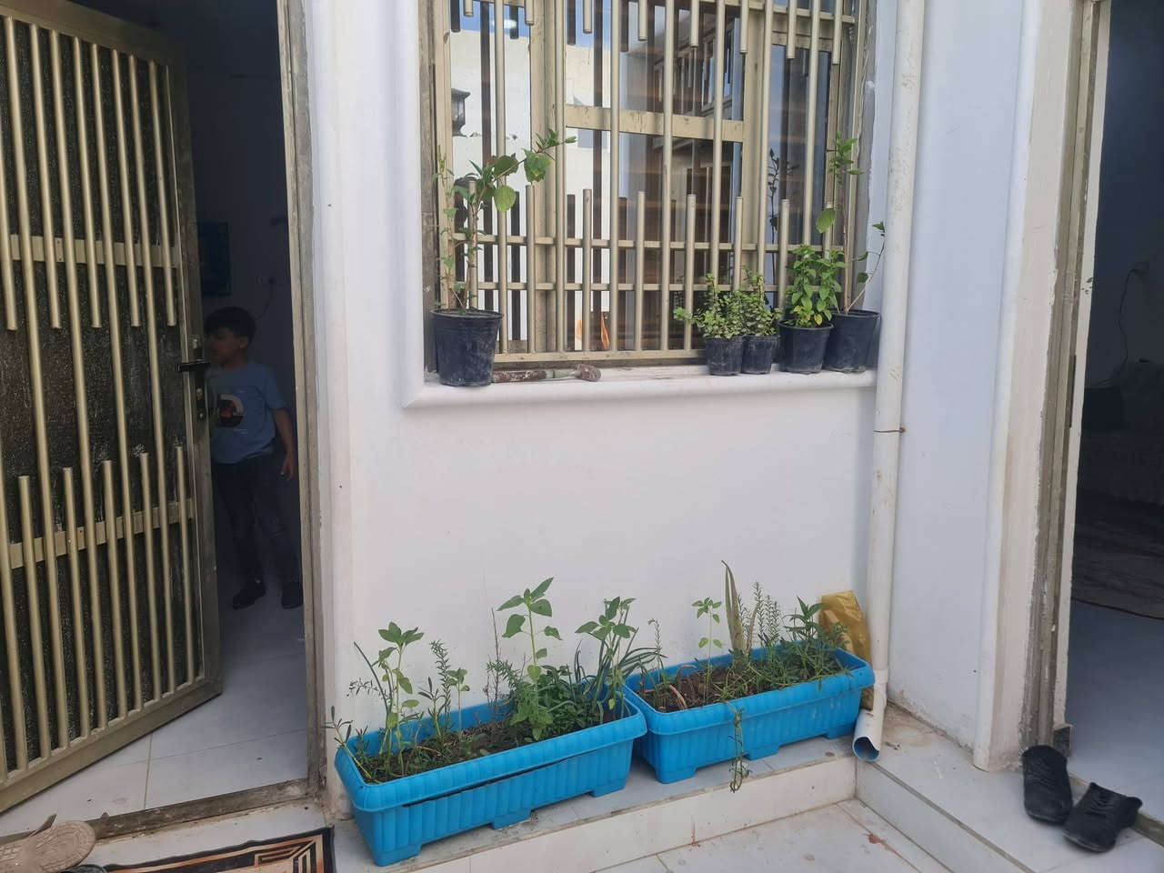 بيت للبيع طابو زراعي المالك عراقي ١٠٠ متر 
يتكون من غرفتين غرفة جوى وغرفة فوك ديوانيه هول 
ديوانيه مطبخ حمام منور  بناء جديد 
تنومه نهر حسن فرع القاعه الحديد
***********
