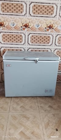 مجمدة • نظيفة • للبيع
