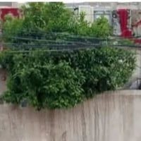دار للبيع مساحته 192متر نزال 16واجهة 12 عرض الشارع 10متر الكريعات شارع...