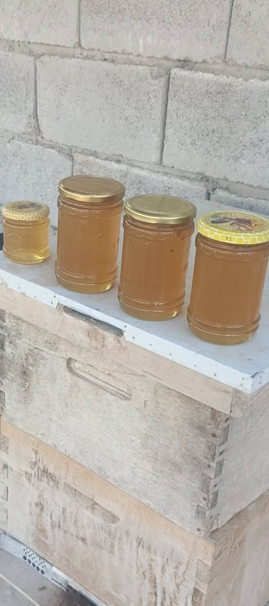 سلام عليكم عسل للبيع 🐝🐝🐝🐝🐝 عسل طبيعي شرط الفحص المكان ديالى بدوانيه مقابيل الاسود الاستفسار على هذه الرقم ***********
