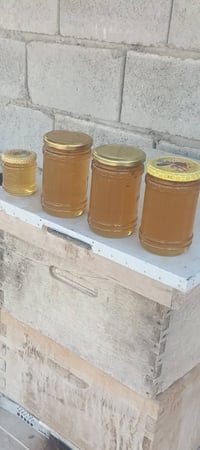 عسل طبيعي • شرط الفحص • ديالى بدوانيه