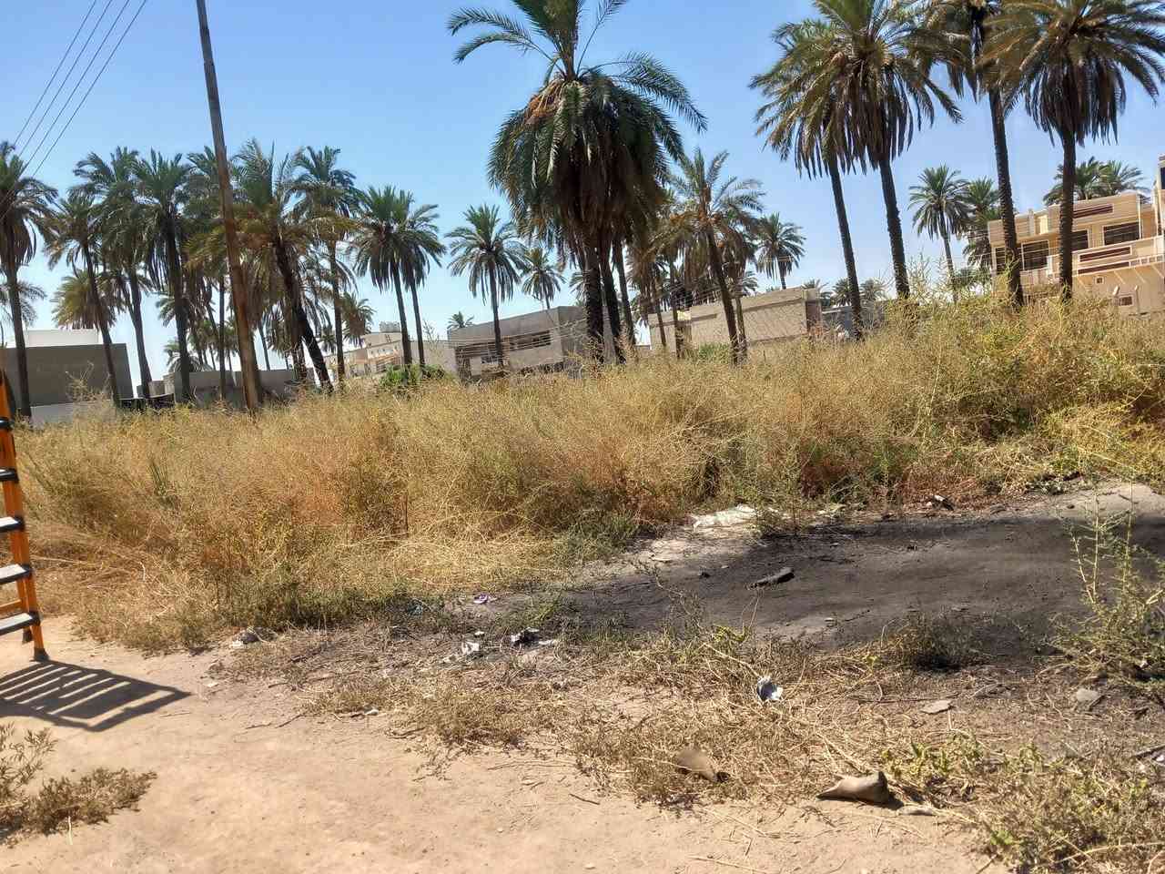 قطعة ارض للبيع سند ٢٥ بستان الكبيسي مساحة الارض ١٠٠م 
الواجة ٥ النزال ٢٠ 
للإستفسار *********** واتساب / اتصال

غير متواجد على الفيس
