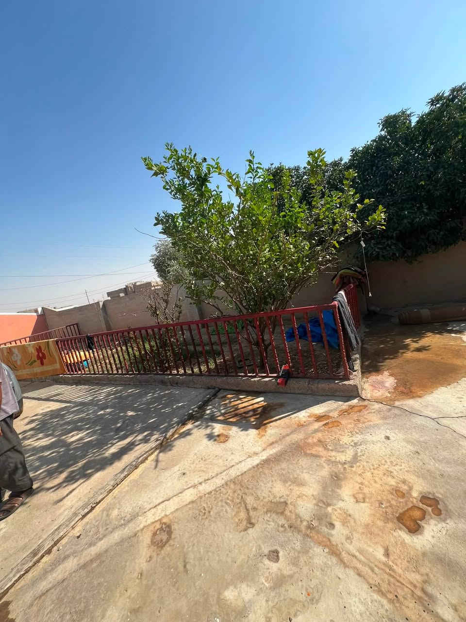محجل للبيع السعر 100 بي مجال ***********

