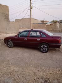 فكترا ٩١ • حجم 16 • مصبوغة