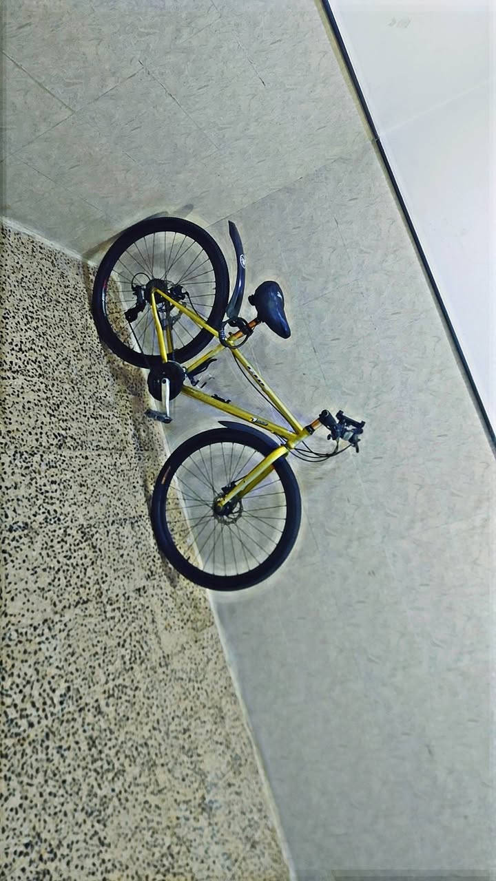 🚲 دراجة Cannondale للبيع 🚲
الماركة: كانونديل (Cannondale)

الحجم: 29.... 

الكير: 3 × 8 =... 

ديسكات: أمامي وخلفي.. 

الإطار: ألمنيوم.. 

فول مواصفات.. 

الحالة: نظيفة وجاهزة للاستخدام.. 

💰@المكان موصل جانب الايسر... 

الاتصال بل رقم /***********/؟؟ $$
