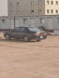 شيزر • مكفولة • صبغ جمالي