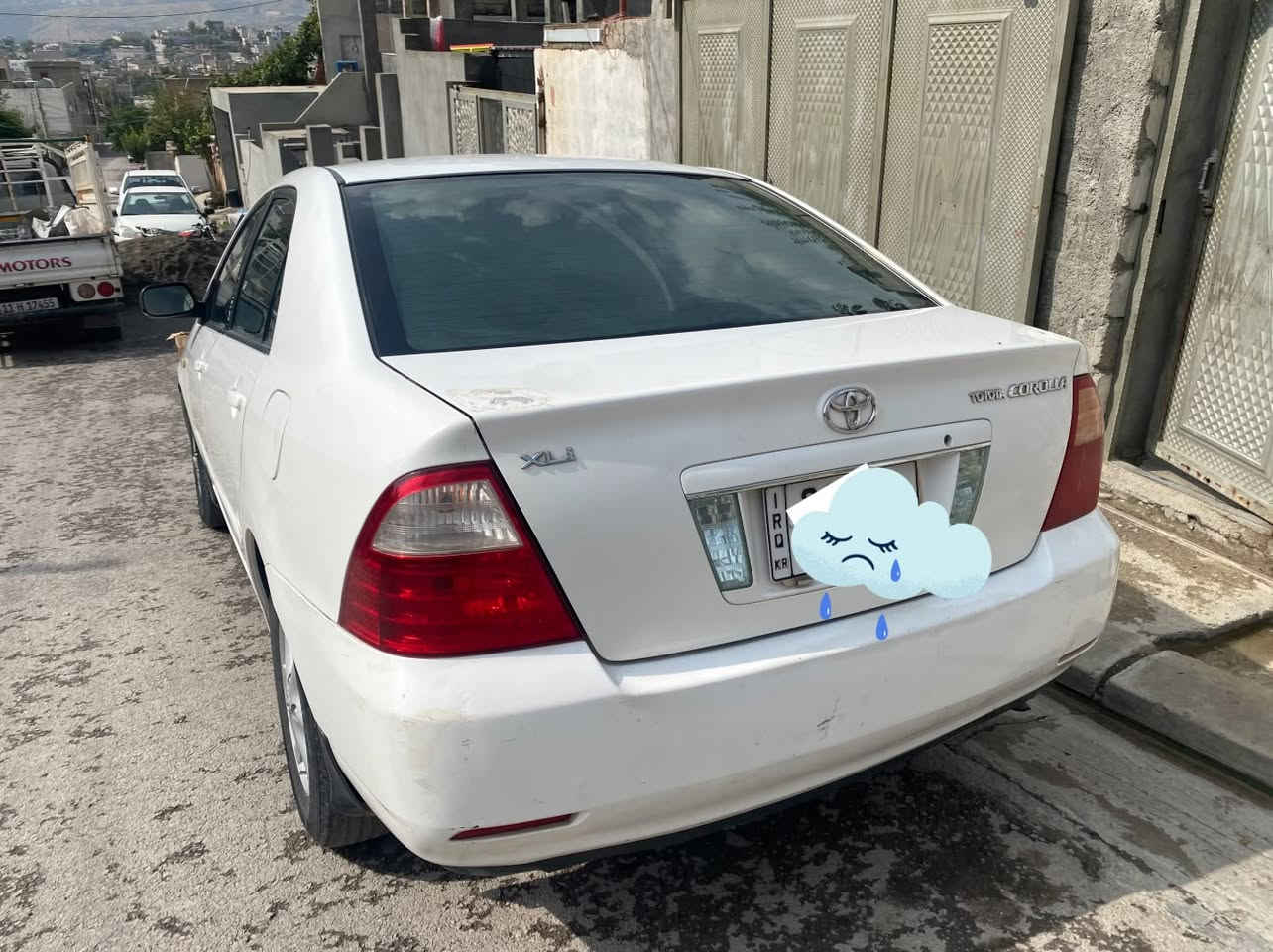بيكاسو • ٢٠٠٥ • توماتيك